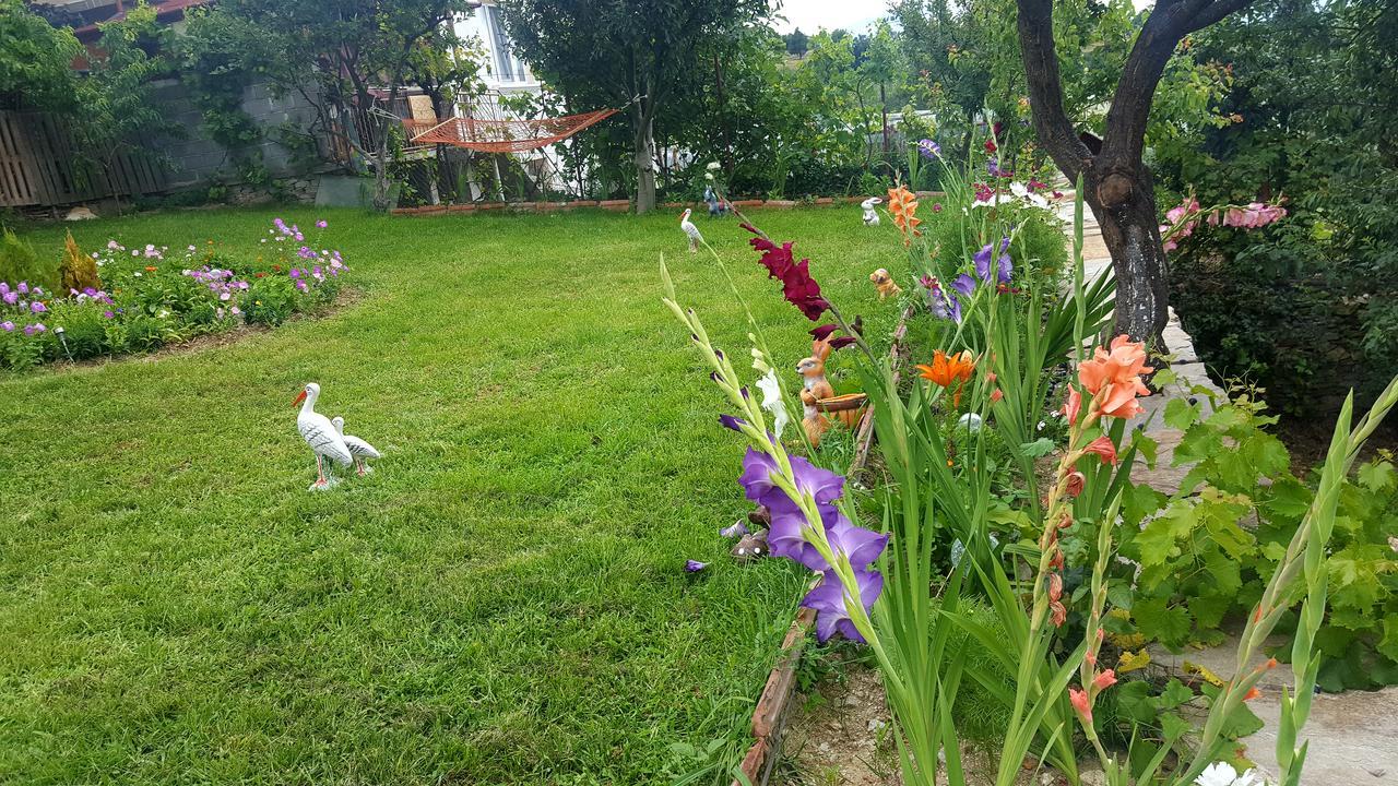 Guest House Agush Kribul Zewnętrze zdjęcie