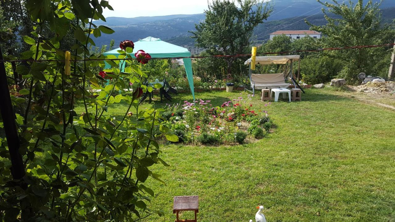 Guest House Agush Kribul Zewnętrze zdjęcie