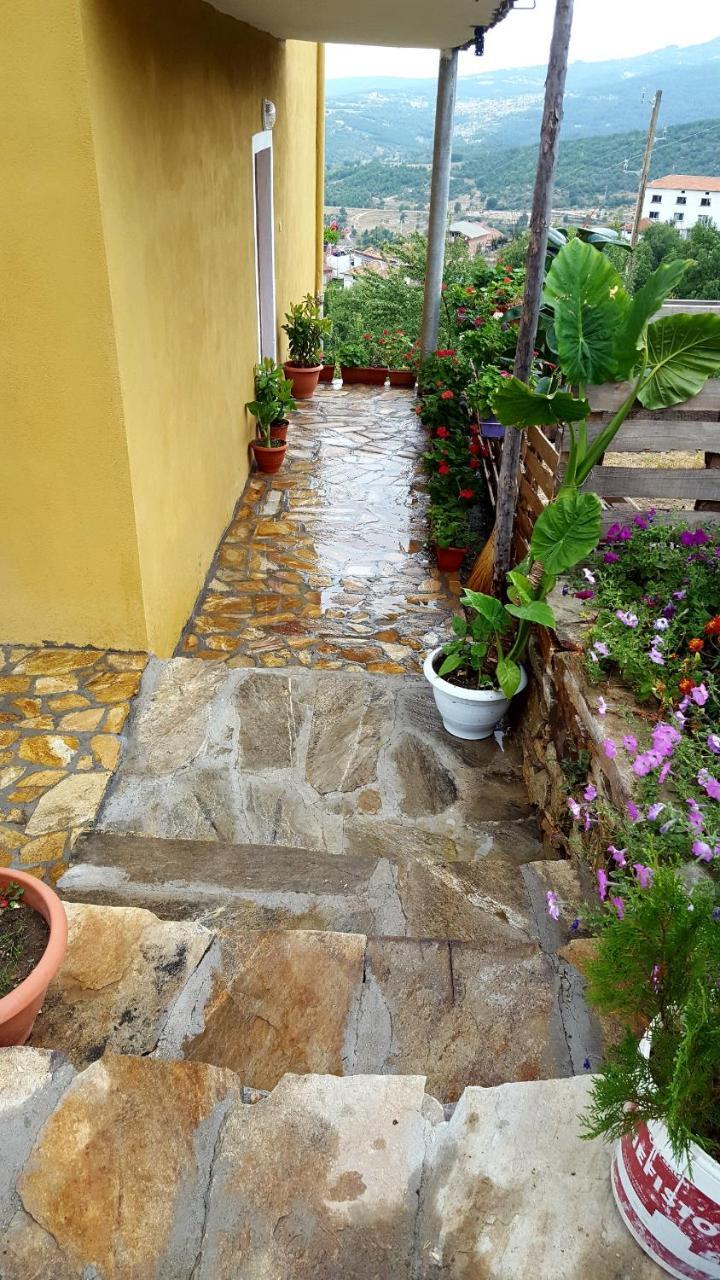 Guest House Agush Kribul Zewnętrze zdjęcie
